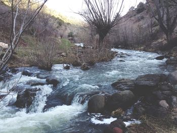 River flowing through rocks