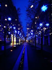 Illuminated trees in city at night