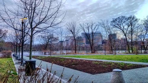 Park by buildings against sky