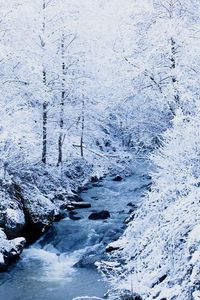 Scenic view of snow covered land