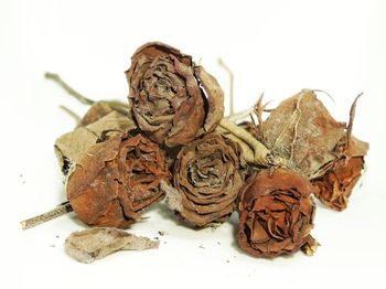 Close-up of dry leaves over white background