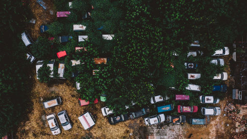 Aerial view of cars parked by trees