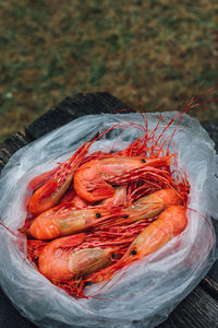 Spot prawns fresh shrimp outdoors camping cookout