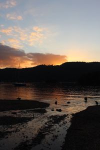 Silhouette of people on beach