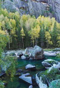 Stream flowing through rocks in forest