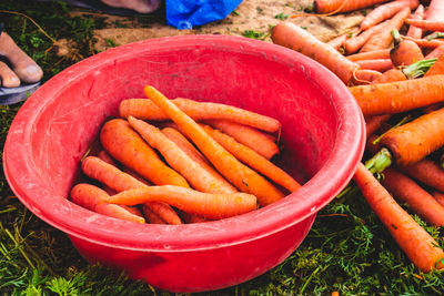 High angle view of fresh vegetables