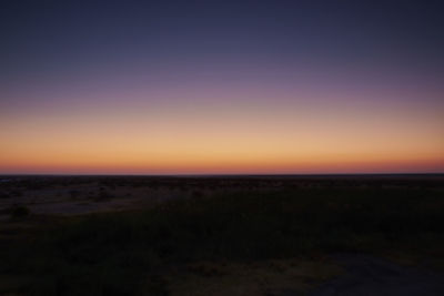 Scenic view of field against clear sky at sunset