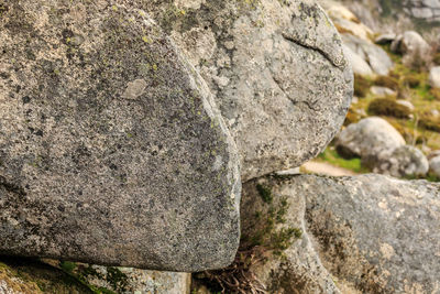 Close-up of rock