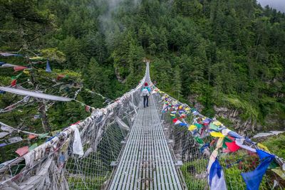 People on footbridge in forest