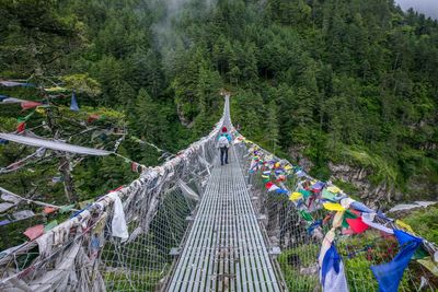 Man walking on footbridge in forest