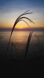 Scenic view of sunset over sea