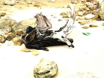 Rocks on beach