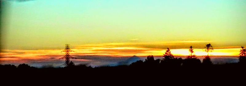 Silhouette of trees at sunset