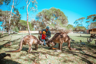 Side view of horse on field against sky