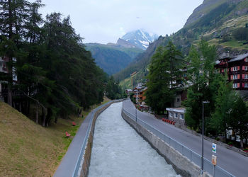 Road amidst trees and buildings against sky