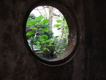 View of hole in tunnel