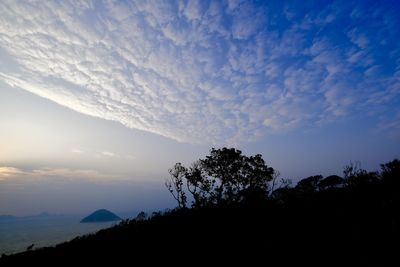 Low angle view of silhouette trees against sky at sunset