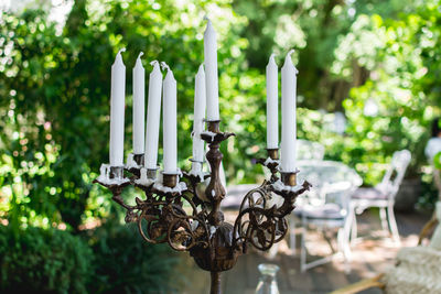 Candlestick holder against plants