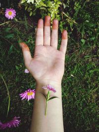 Cropped hand with flower over grassy field