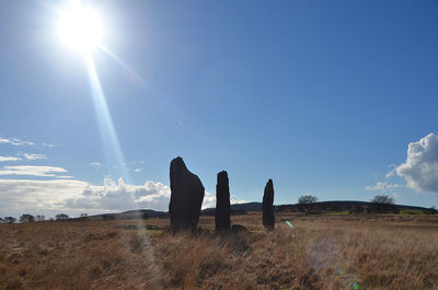 Panoramic view of field against sky