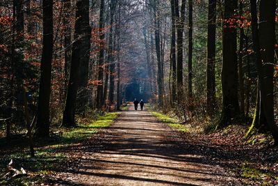 Man amidst trees