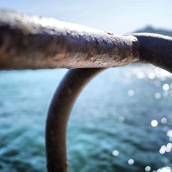 Close-up of railing