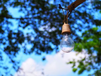 Low angle view of light bulb hanging from ceiling