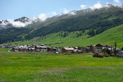 Scenic view of field and houses against sky