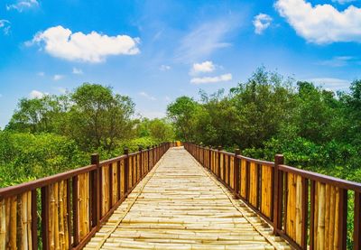 Surface level of footbridge along trees