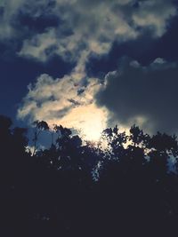 Low angle view of silhouette trees against sky during sunset