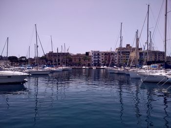 Sailboats in marina