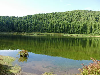 Scenic view of lake by trees against sky