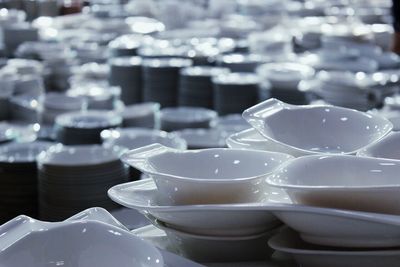 Close-up of plant against blurred background