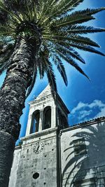 Low angle view of palm trees against the sky