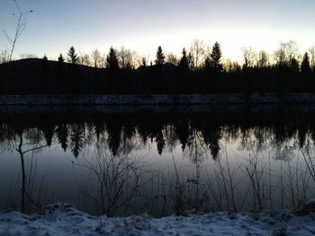 Reflection of trees in lake during winter