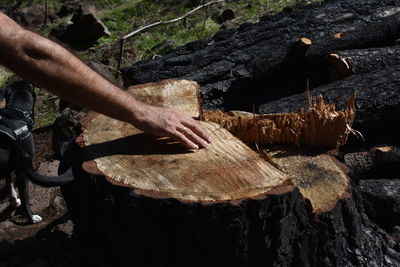 Man playing with log in background