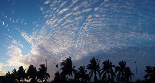 Low angle view of trees against cloudy sky