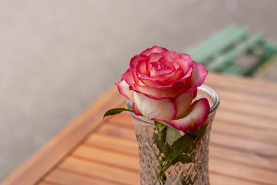 Close-up of pink rose on table