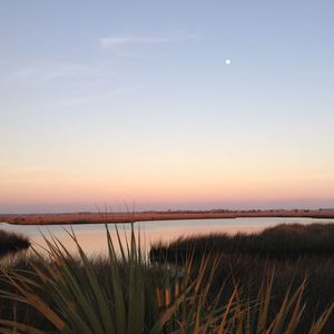 Scenic view of grass against sky during sunset