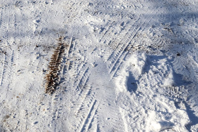 High angle view of tire tracks on snow covered land