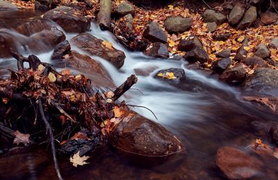 Scenic view of river flowing through rocks