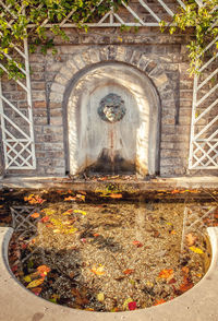 View of window in temple