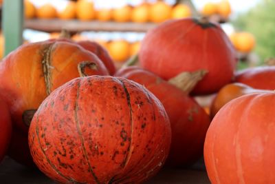 Close-up of pumpkins for sale in market