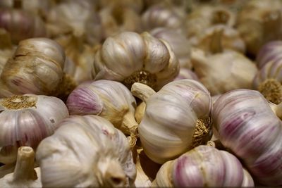 Close-up of garlic for sale in market