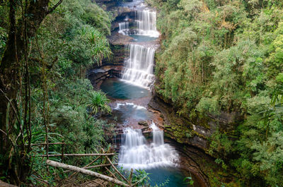 Waterfall in forest