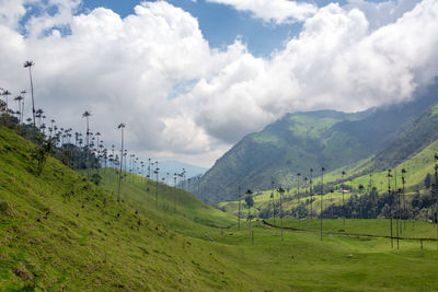 Scenic view of field and mountains against sky