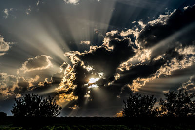Low angle view of silhouette trees against sky during sunset