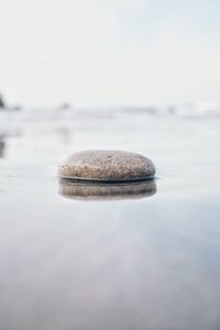 Close-up of pebbles on rock at beach against sky