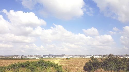 Scenic view of agricultural field against sky