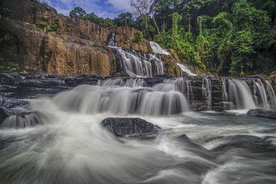 View of waterfall in forest